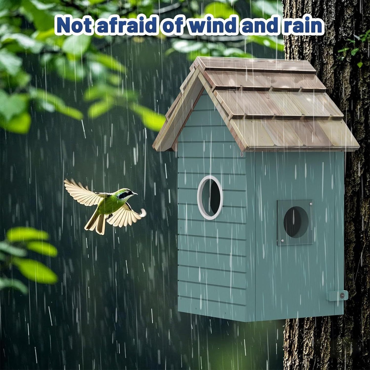 Smart Bird House