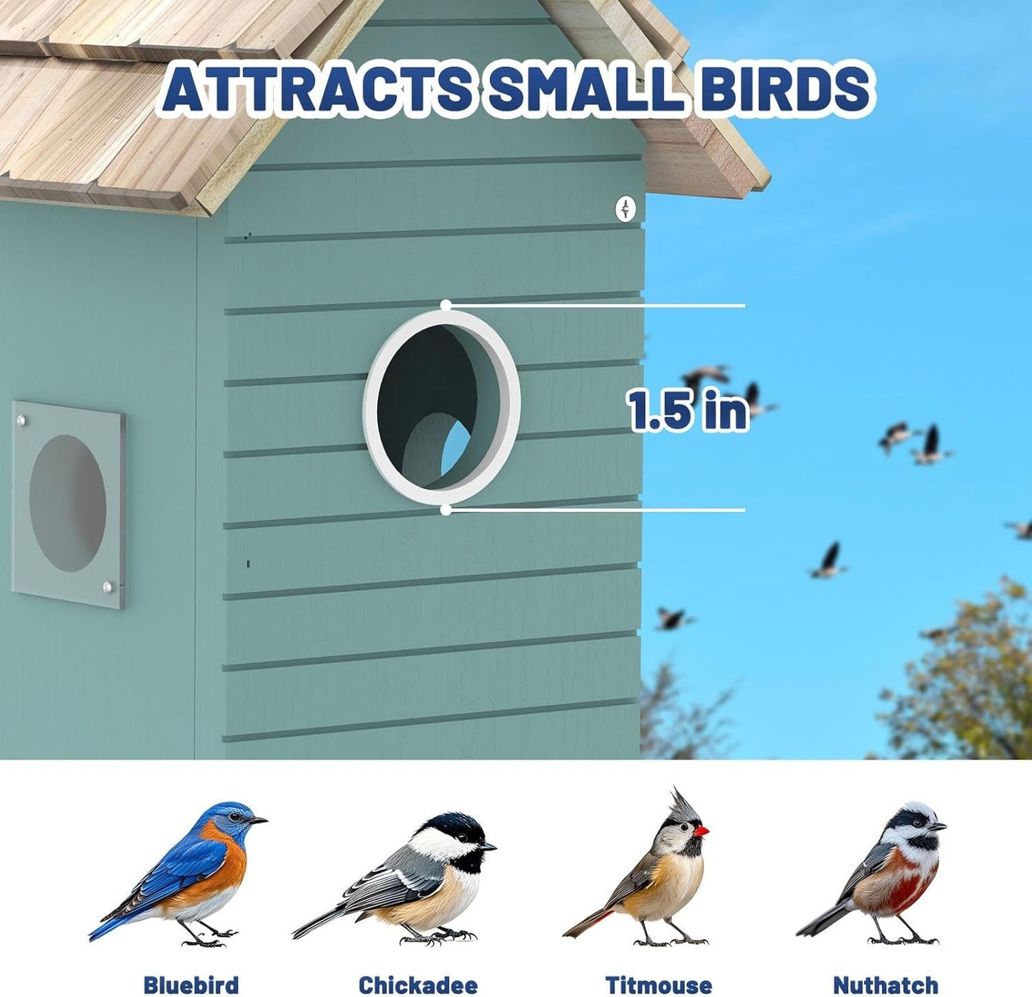 Smart Bird House